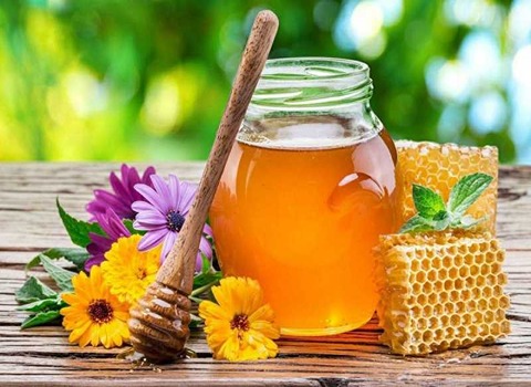 تصویر 1 از قیمت خرید عسل آویشن ارگانیک عمده به صرفه و ارزان